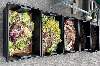 food waste collection