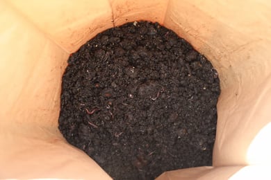 inside compost bag